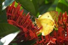 Natureza é tema de exposição fotográfica no MAM de Resende